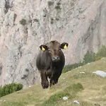 Wettl * Vorderberg